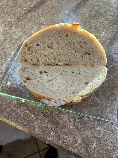 Freeze Dried Sourdough Starter