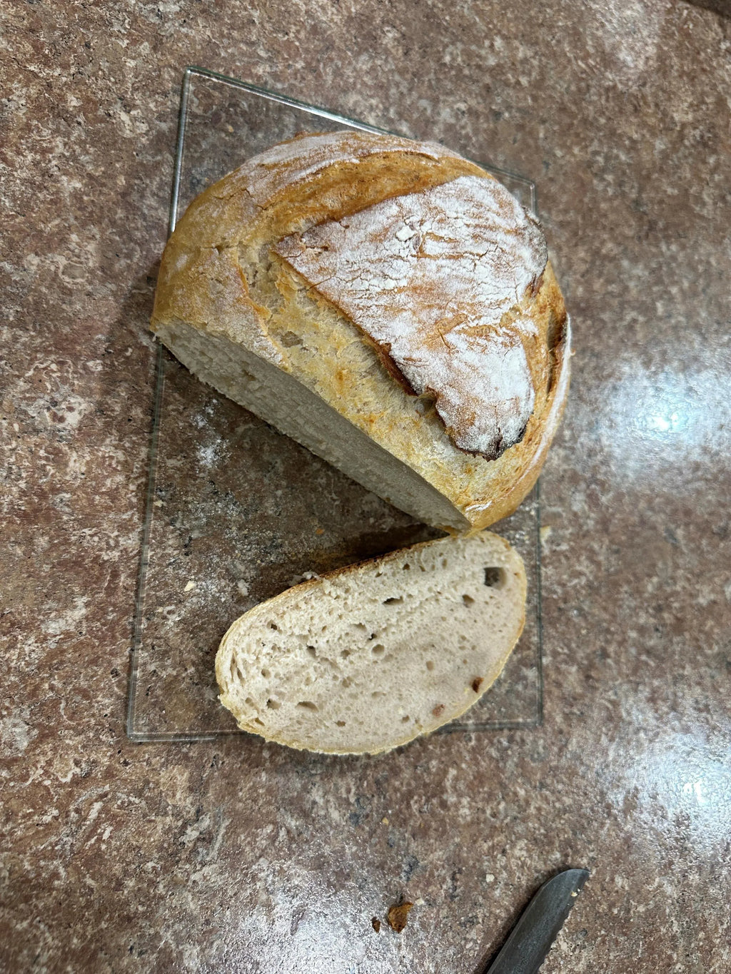 Freeze Dried Sourdough Starter