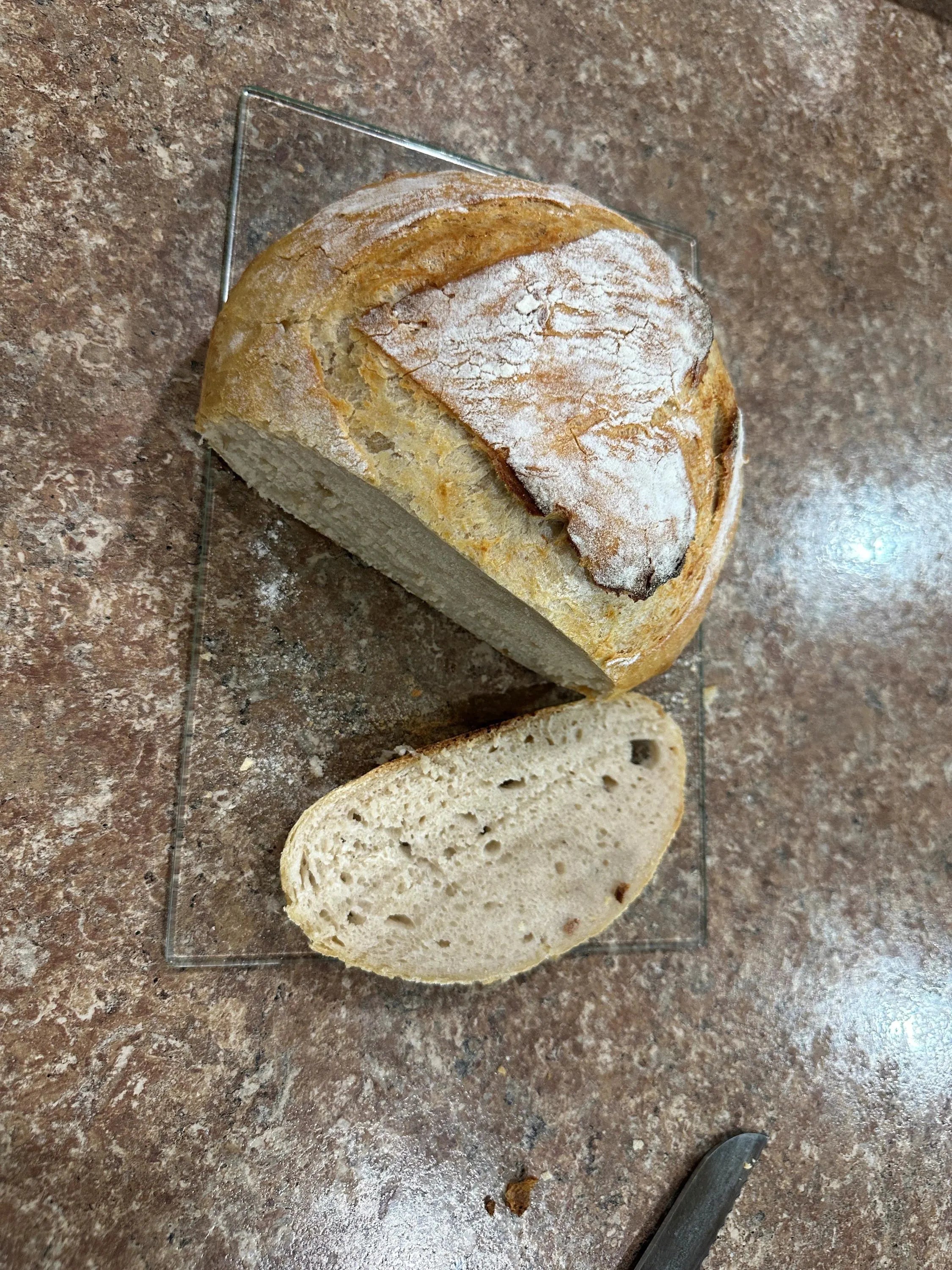 Freeze Dried Sourdough Starter