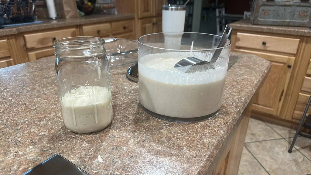 Freeze Dried Sourdough Starter