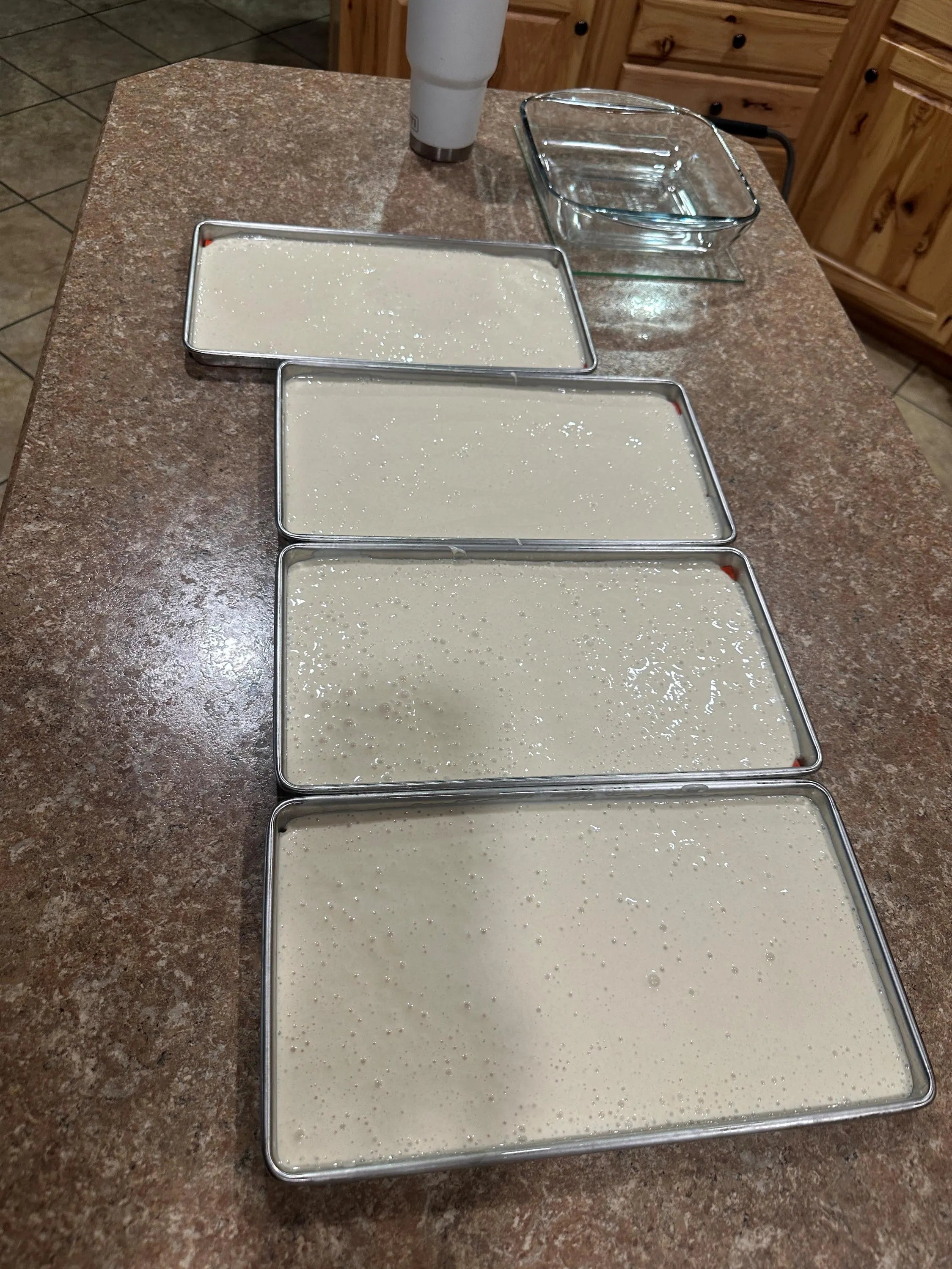 Freeze Dried Sourdough Starter