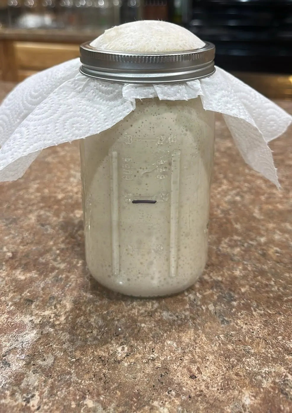 Freeze Dried Sourdough Starter